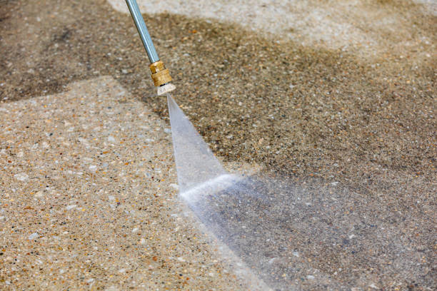 Animal Enclosure Cleaning in Milan, IL